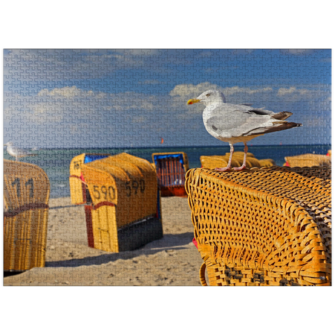 puzzleplate Seagull on a beach chair, Ostseebad Laboe, Schleswig-Holstein, Germany 1000 Jigsaw Puzzle