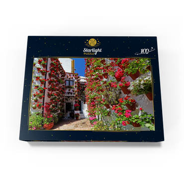 Festival of Patios in the old town of Cordoba, Andalusia, Spain 100 Jigsaw Puzzle box view1