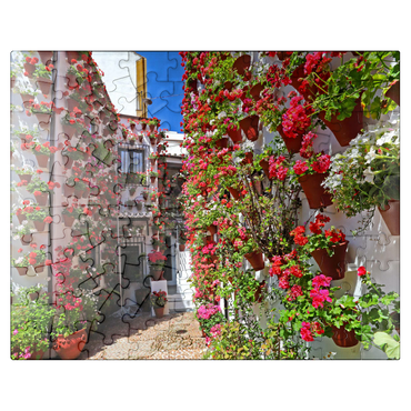 puzzleplate Festival of Patios in the old town of Cordoba, Andalusia, Spain 100 Jigsaw Puzzle