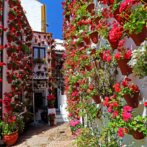 Festival of Patios in the old town of Cordoba, Andalusia, Spain 100 Jigsaw Puzzle 3D Modell