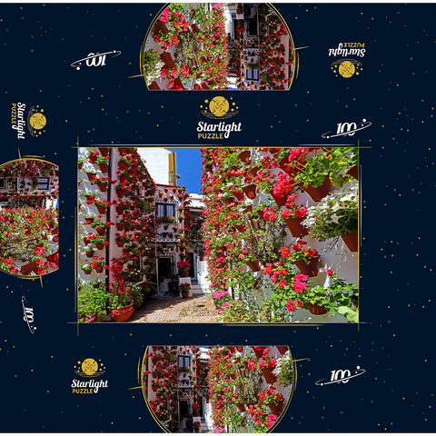 Festival of Patios in the old town of Cordoba, Andalusia, Spain 100 Jigsaw Puzzle box 3D Modell