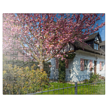 puzzleplate Flowering ornamental cherry on a residential building 100 Jigsaw Puzzle