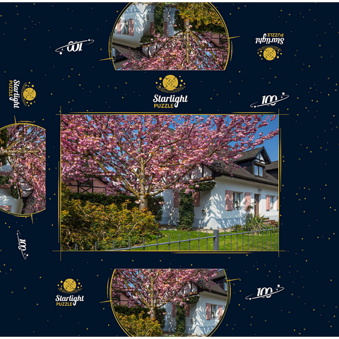 Flowering ornamental cherry on a residential building 100 Jigsaw Puzzle box 3D Modell