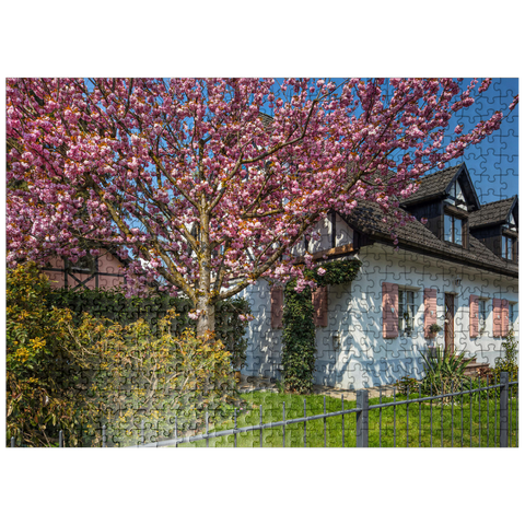 puzzleplate Flowering ornamental cherry on a residential building 500 Jigsaw Puzzle