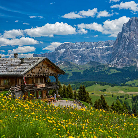 Tschötsch Alm at Puflatsch against Sella Group and Sassolungo, Alpe di Siusi, South Tyrol 100 Jigsaw Puzzle 3D Modell