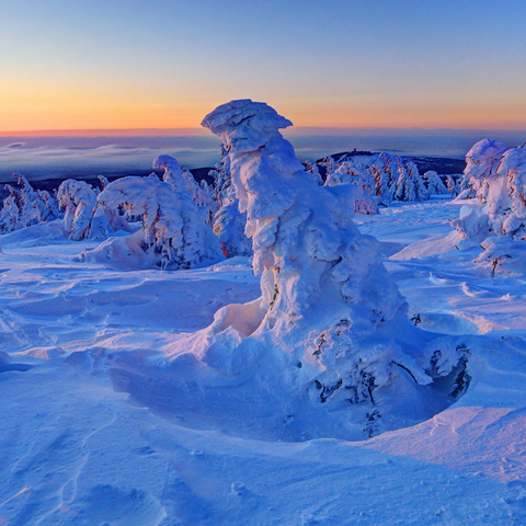 Winter at the summit of the Brocken (1142m), Harz Mountains, Saxony-Anhalt, Germany 1000 Jigsaw Puzzle 3D Modell