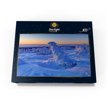 Winter at the summit of the Brocken (1142m), Harz Mountains, Saxony-Anhalt, Germany 100 Jigsaw Puzzle box view1