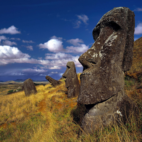 Moai figures at crater Rano Raraku, Easter Island, Chile 500 Jigsaw Puzzle 3D Modell