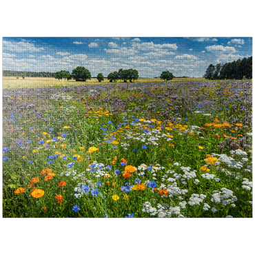 puzzleplate Summer flower meadow near Eichstätt 1000 Jigsaw Puzzle