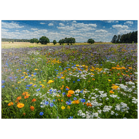 puzzleplate Summer flower meadow near Eichstätt 1000 Jigsaw Puzzle