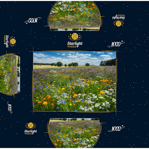 Summer flower meadow near Eichstätt 1000 Jigsaw Puzzle box 3D Modell