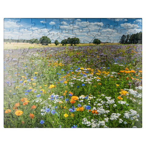 puzzleplate Summer flower meadow near Eichstätt 100 Jigsaw Puzzle
