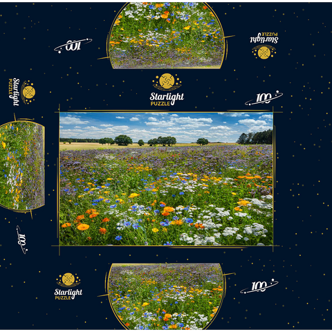 Summer flower meadow near Eichstätt 100 Jigsaw Puzzle box 3D Modell