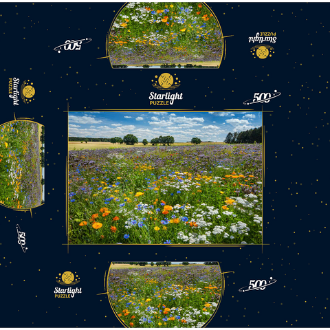 Summer flower meadow near Eichstätt 500 Jigsaw Puzzle box 3D Modell