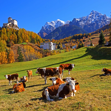 Cows on pasture with view to Tarasp Castle, Grisons, Switzerland 1000 Jigsaw Puzzle 3D Modell