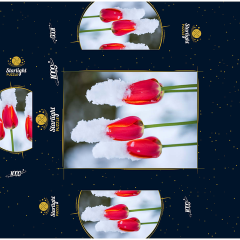 Tulips in the snow 1000 Jigsaw Puzzle box 3D Modell