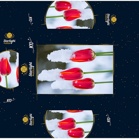 Tulips in the snow 100 Jigsaw Puzzle box 3D Modell