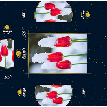 Tulips in the snow 500 Jigsaw Puzzle box 3D Modell