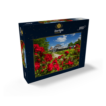 Café in the Botanical Garden at the time of rose bloom 1000 Jigsaw Puzzle box view1