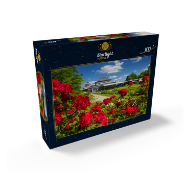 Café in the Botanical Garden at the time of rose bloom 100 Jigsaw Puzzle box view1