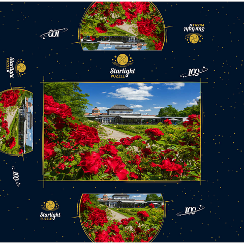 Café in the Botanical Garden at the time of rose bloom 100 Jigsaw Puzzle box 3D Modell