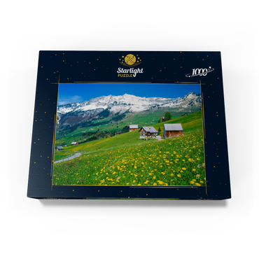 Farms against Mattstock (1936m), Amden, Canton St. Gallen, Switzerland 1000 Jigsaw Puzzle box view1