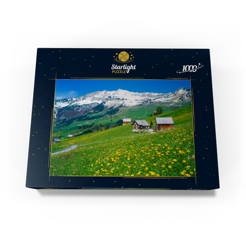 Farms against Mattstock (1936m), Amden, Canton St. Gallen, Switzerland 1000 Jigsaw Puzzle box view1
