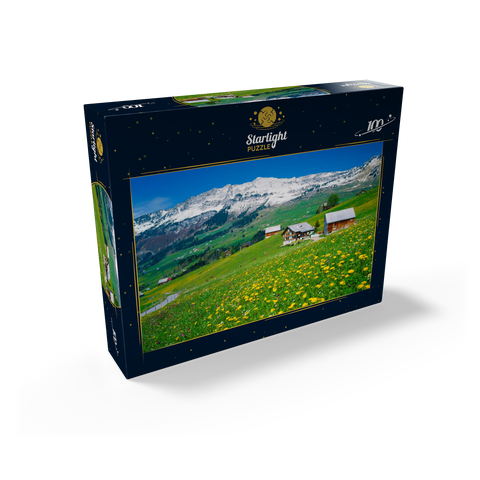 Farms against Mattstock (1936m), Amden, Canton St. Gallen, Switzerland 100 Jigsaw Puzzle box view1