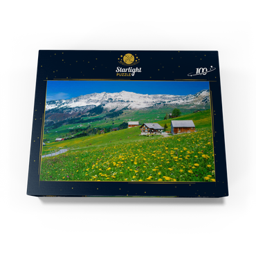 Farms against Mattstock (1936m), Amden, Canton St. Gallen, Switzerland 100 Jigsaw Puzzle box view1