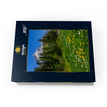 At Kreuzeck, Troll flower meadow (Trollius europaeus) against Alpspitze with paraglider 1000 Jigsaw Puzzle box view1
