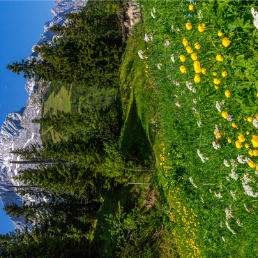 At Kreuzeck, Troll flower meadow (Trollius europaeus) against Alpspitze with paraglider 1000 Jigsaw Puzzle 3D Modell