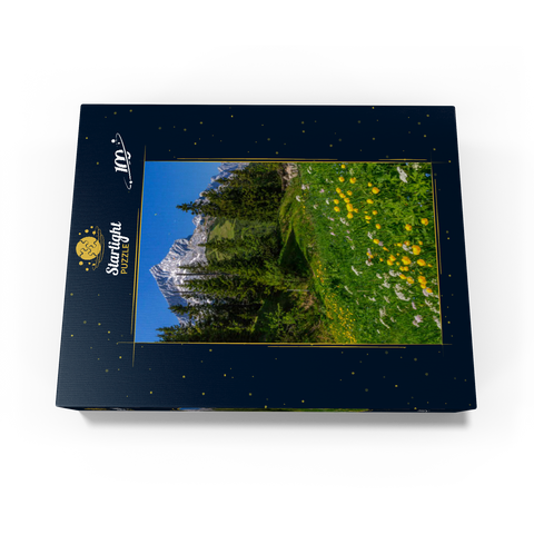 At Kreuzeck, Troll flower meadow (Trollius europaeus) against Alpspitze with paraglider 100 Jigsaw Puzzle box view1