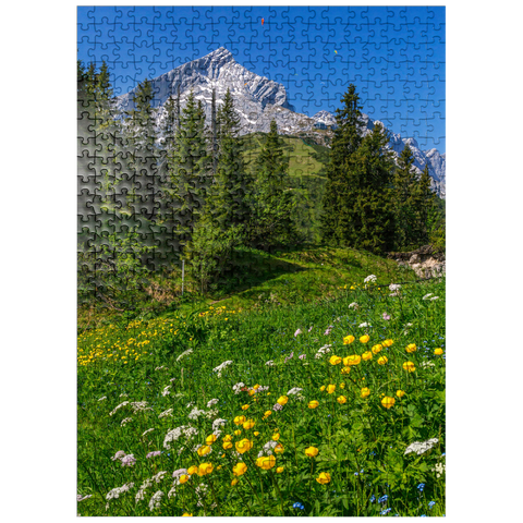puzzleplate At Kreuzeck, Troll flower meadow (Trollius europaeus) against Alpspitze with paraglider 500 Jigsaw Puzzle