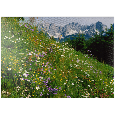 puzzleplate Flower meadow with view to Wilder Kaiser, Tyrol, Austria 1000 Jigsaw Puzzle