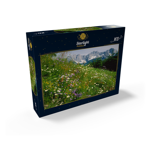 Flower meadow with view to Wilder Kaiser, Tyrol, Austria 100 Jigsaw Puzzle box view1