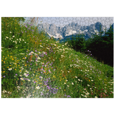 puzzleplate Flower meadow with view to Wilder Kaiser, Tyrol, Austria 500 Jigsaw Puzzle