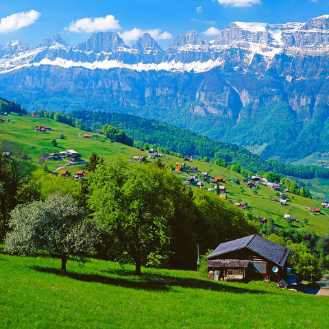 Flumserberg with view to the Churfirsten (2306m), Canton St. Gallen, Switzerland 1000 Jigsaw Puzzle 3D Modell