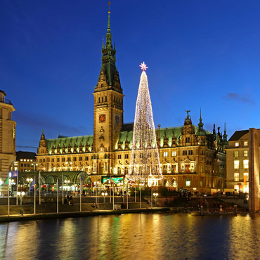 Small Alster with Christmas tree and city hall, Hamburg, Germany 1000 Jigsaw Puzzle 3D Modell