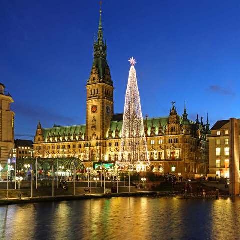 Small Alster with Christmas tree and city hall, Hamburg, Germany 100 Jigsaw Puzzle 3D Modell