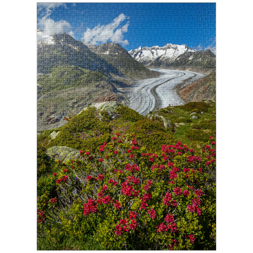 puzzleplate Alpine rose blossom, Great Aletsch Glacier against Wannenhorn (3906m) 1000 Jigsaw Puzzle