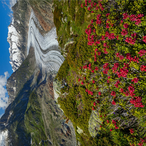 Alpine rose blossom, Great Aletsch Glacier against Wannenhorn (3906m) 1000 Jigsaw Puzzle 3D Modell
