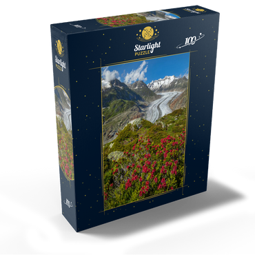 Alpine rose blossom, Great Aletsch Glacier against Wannenhorn (3906m) 100 Jigsaw Puzzle box view1
