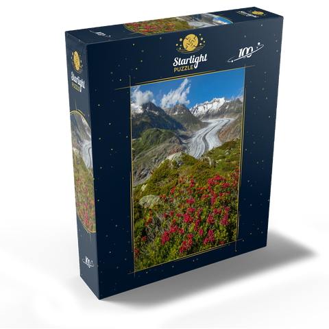 Alpine rose blossom, Great Aletsch Glacier against Wannenhorn (3906m) 100 Jigsaw Puzzle box view1
