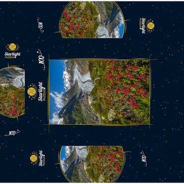 Alpine rose blossom, Great Aletsch Glacier against Wannenhorn (3906m) 100 Jigsaw Puzzle box 3D Modell