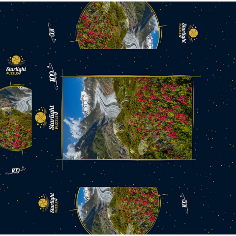 Alpine rose blossom, Great Aletsch Glacier against Wannenhorn (3906m) 100 Jigsaw Puzzle box 3D Modell