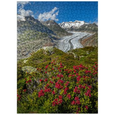 puzzleplate Alpine rose blossom, Great Aletsch Glacier against Wannenhorn (3906m) 500 Jigsaw Puzzle
