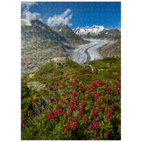 puzzleplate Alpine rose blossom, Great Aletsch Glacier against Wannenhorn (3906m) 500 Jigsaw Puzzle