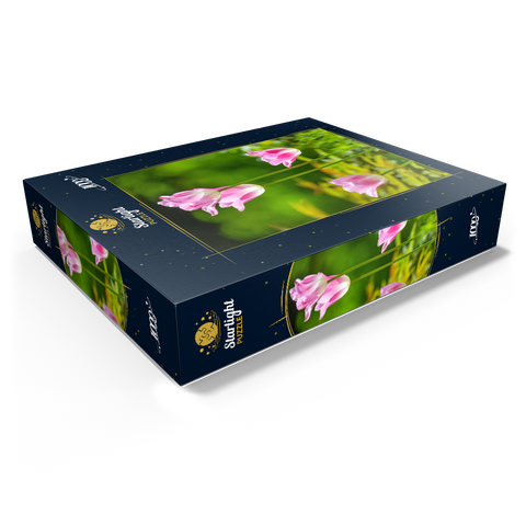 Tulips in a home garden 1000 Jigsaw Puzzle box view1