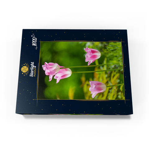 Tulips in a home garden 1000 Jigsaw Puzzle box view1