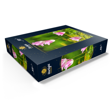 Tulips in a home garden 100 Jigsaw Puzzle box view1